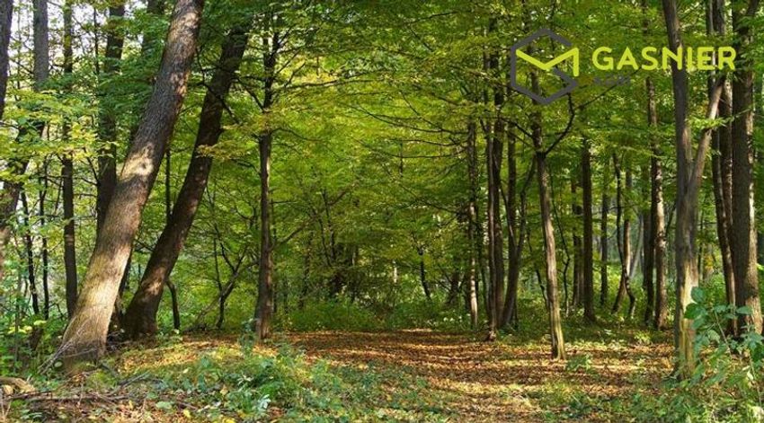 Image de terrain à Rennes