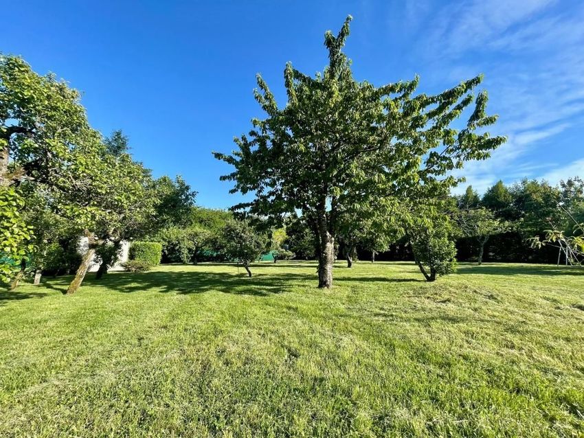 Image de terrain à Beaugency