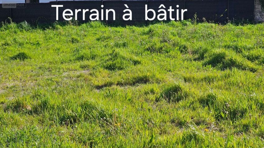Image de terrain à Baye