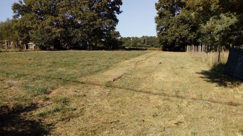 Image de terrain à Plessé