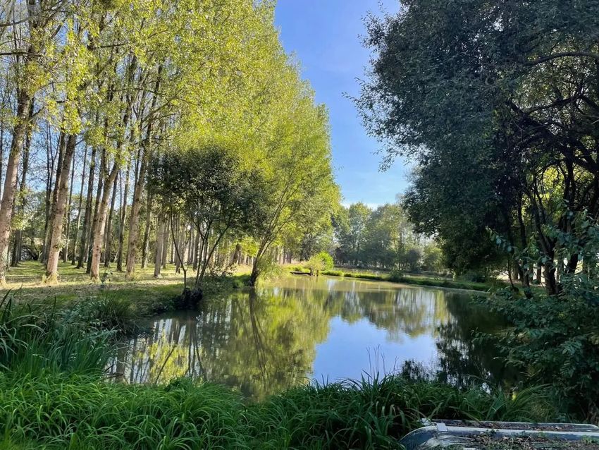 Image de terrain à Oisseau