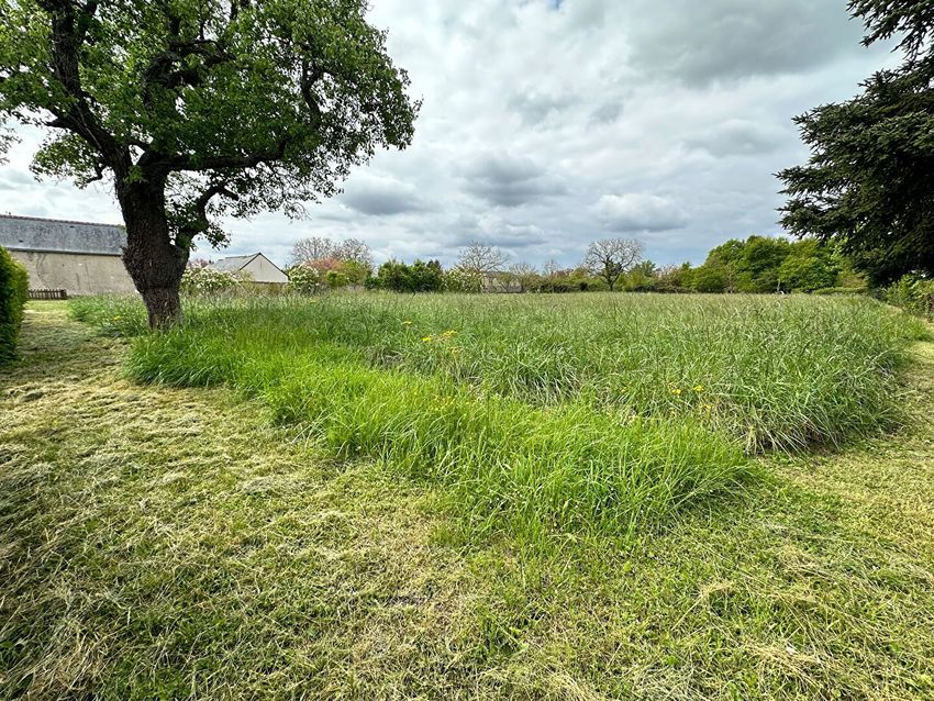 Image de terrain à Channay-sur-Lathan