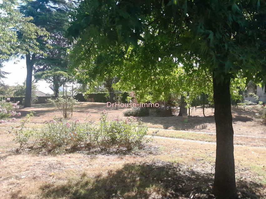 Image de terrain à Ingrandes-Le Fresne sur Loire
