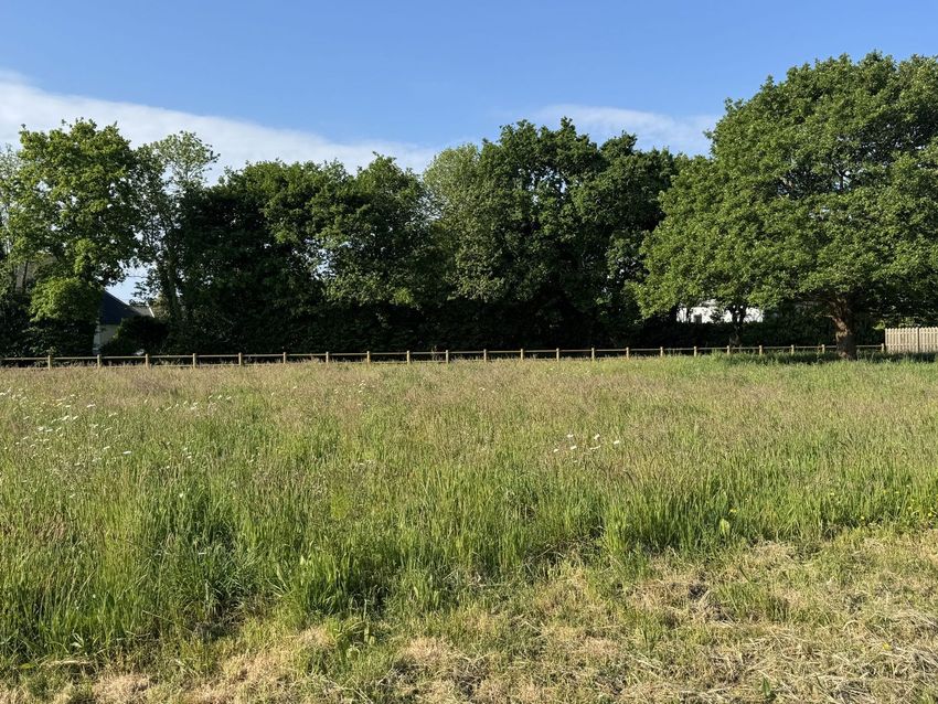 Image de terrain à Riec-sur-Bélon
