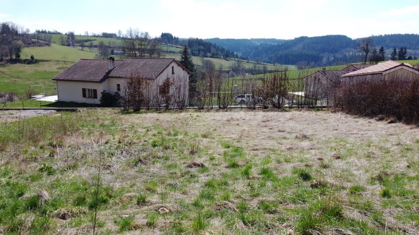 Image de terrain à Saint-Didier-en-Velay