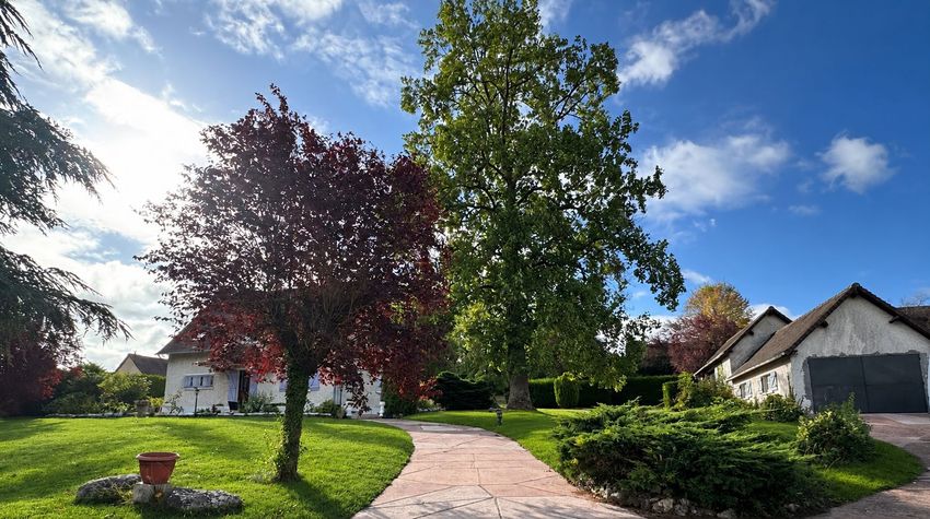 Image Jardin à  maison individuelle de Rouvres