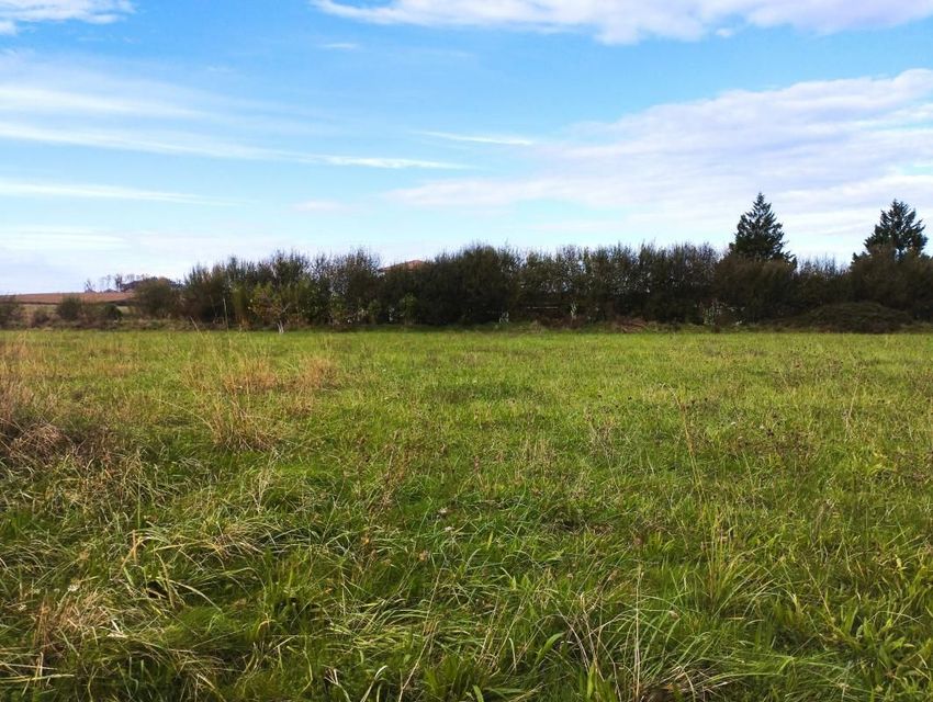 Image de terrain à Sainte-Colombe