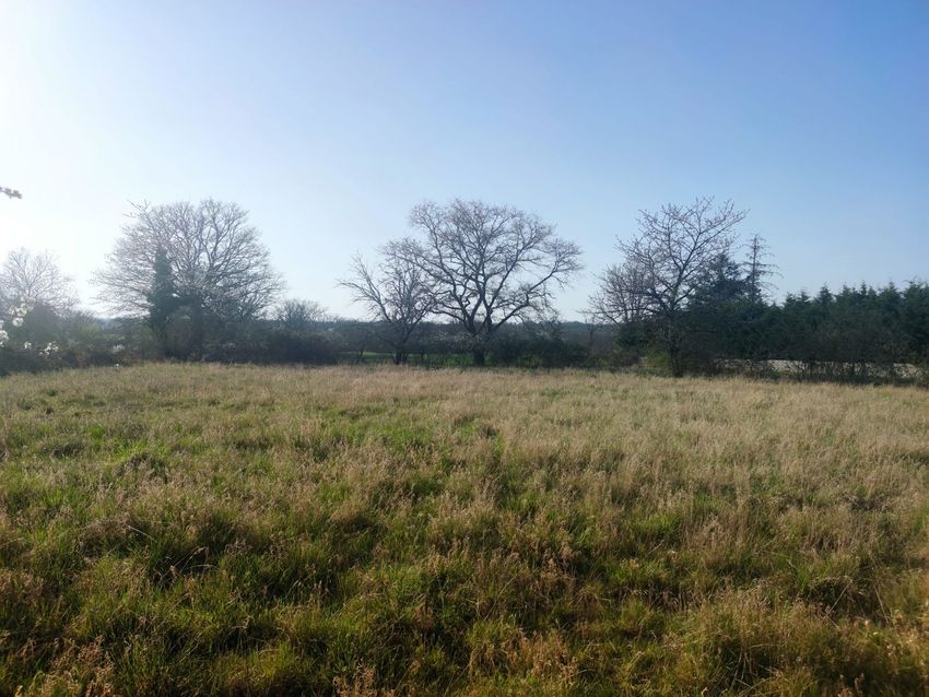Image de terrain à Bizeneuille