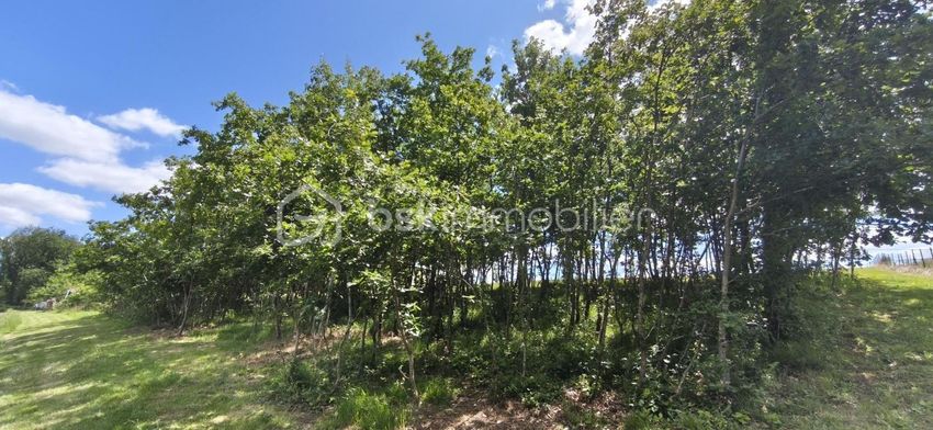 Image de terrain à Verlhac-Tescou
