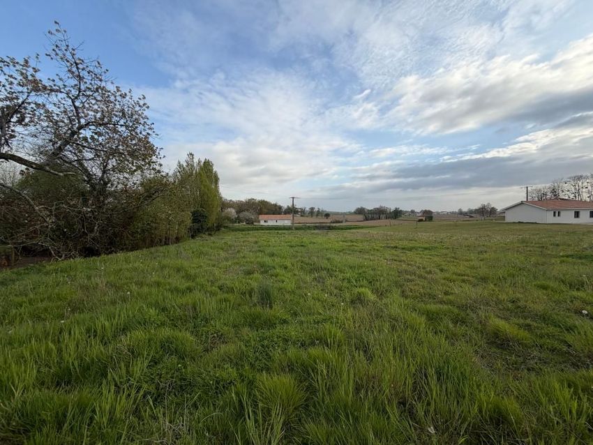 Image de terrain à Montaut