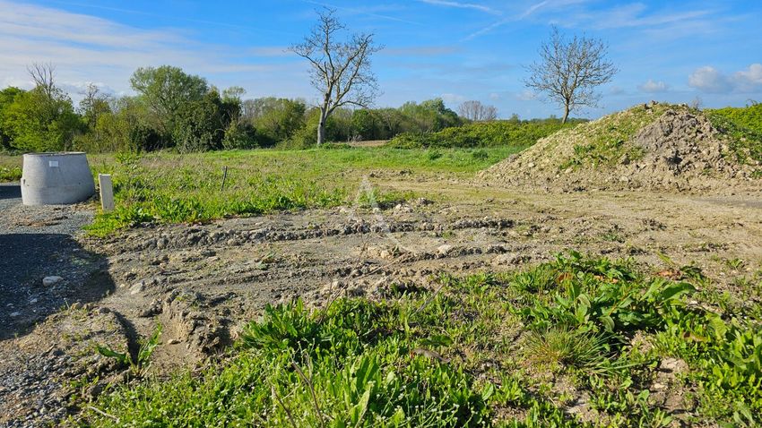 Image de terrain à Breuil-Magné