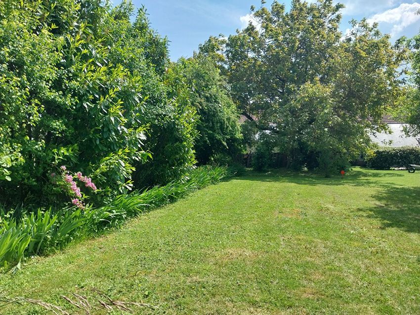 Image de terrain à Cigogné
