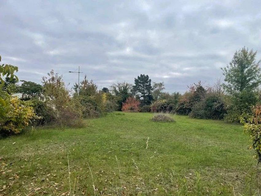 Image de terrain à Ormes