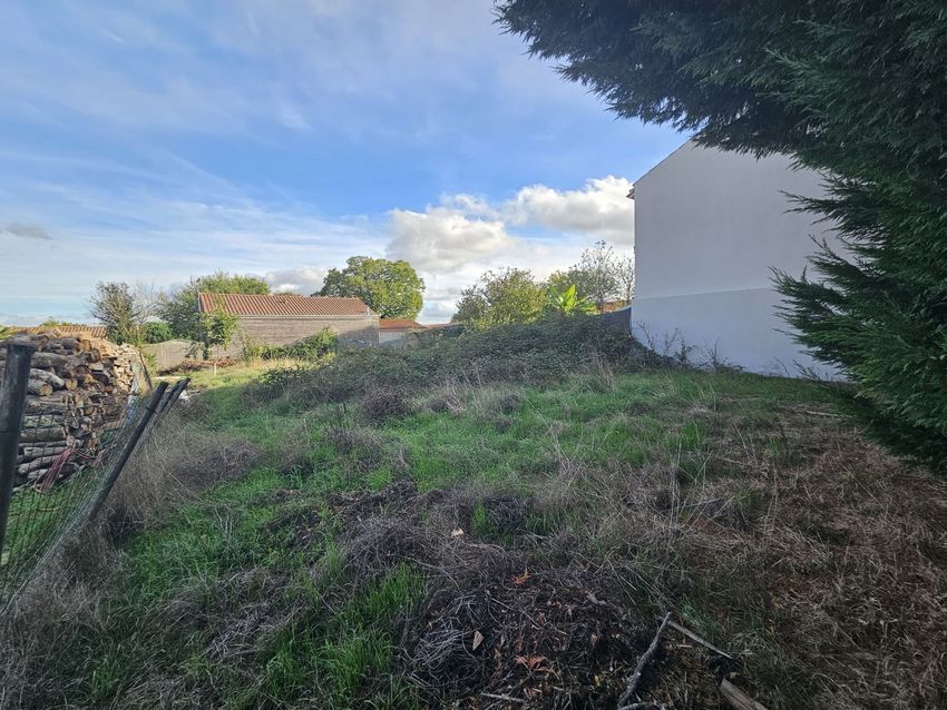 Image de terrain à Sèvremoine