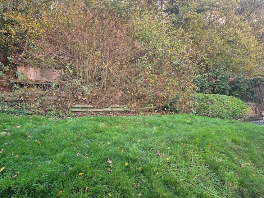 Image Jardin à  maison individuelle de Bolbec