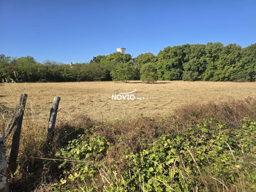 Image de terrain à Chasseneuil-du-Poitou