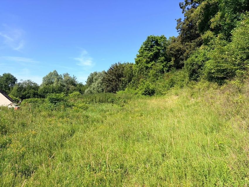 Image de terrain à Villers-Cotterêts