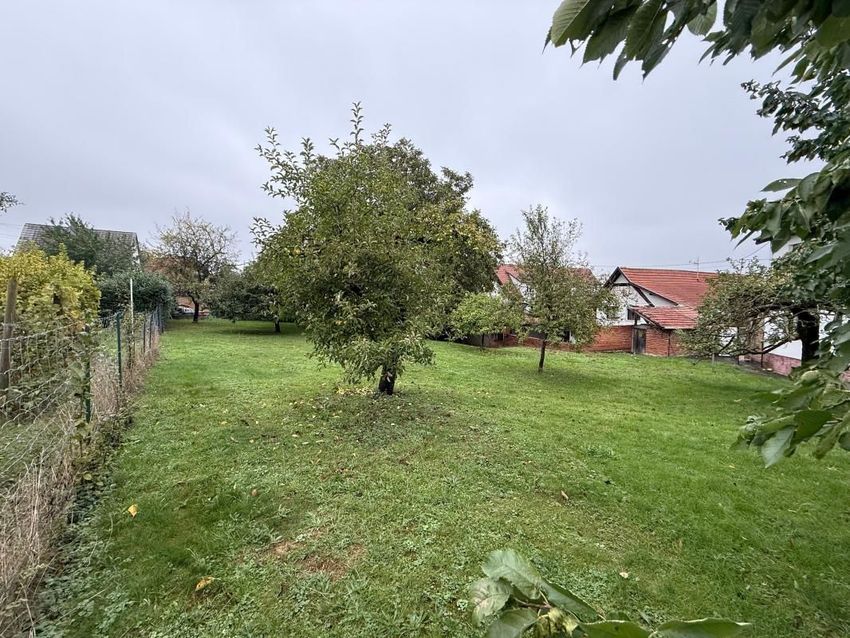Image de terrain à Mutzenhouse
