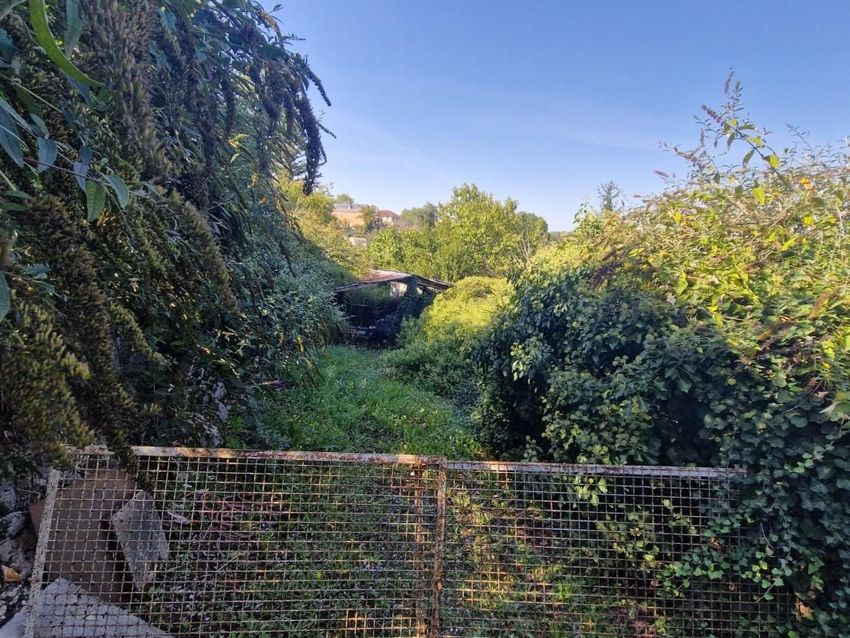 Image de terrain à Beauregard-de-Terrasson