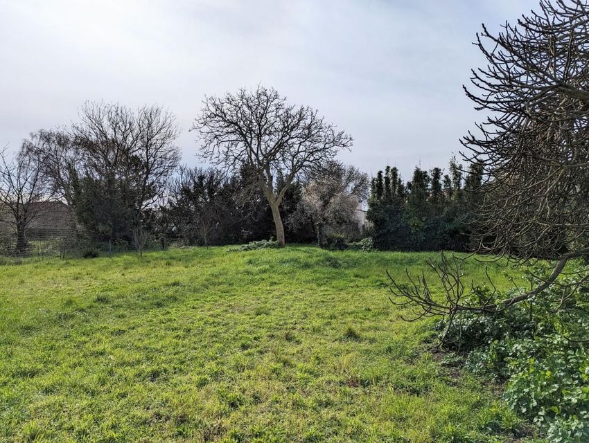 Image de terrain à Bourcefranc-le-Chapus