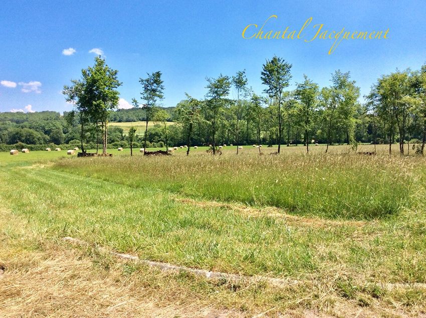 Image de terrain à Saint-Jean-de-Côle