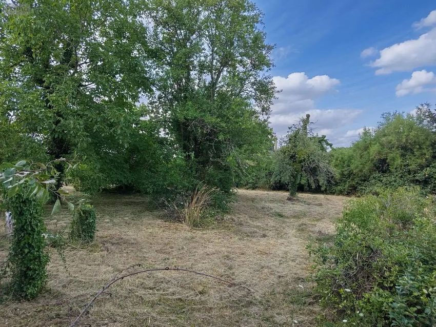 Image de terrain à La Croix-en-Touraine