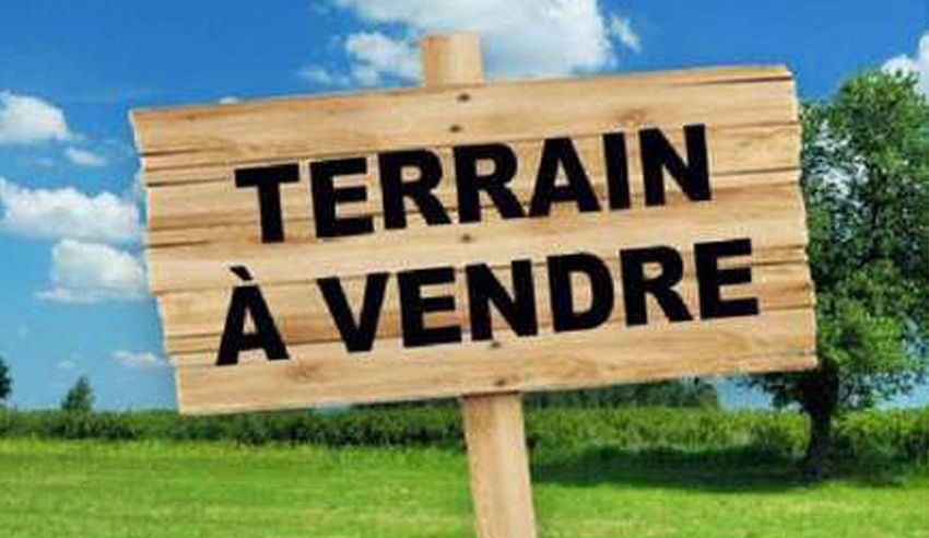 Image de terrain à Montesson