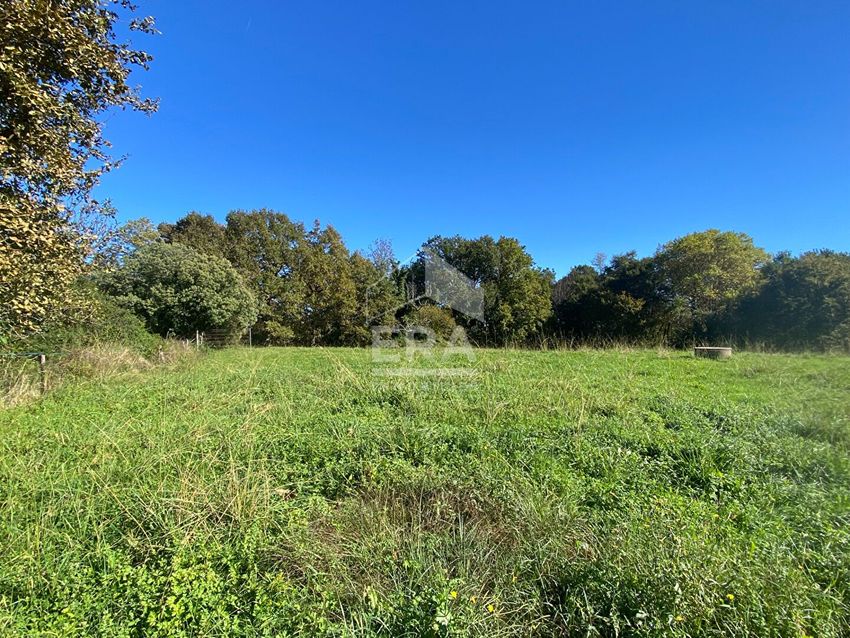 Image de terrain à Sainte-Marie-de-Gosse