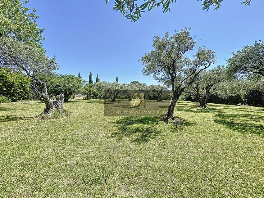 Image de terrain à Pernes-les-Fontaines