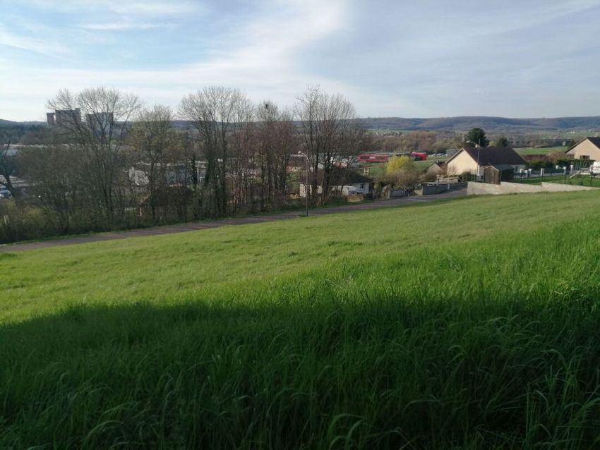 Image de terrain à Rochefort-sur-Nenon