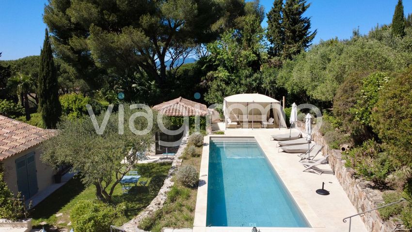 Image Piscine à  manoir de Saint-Tropez