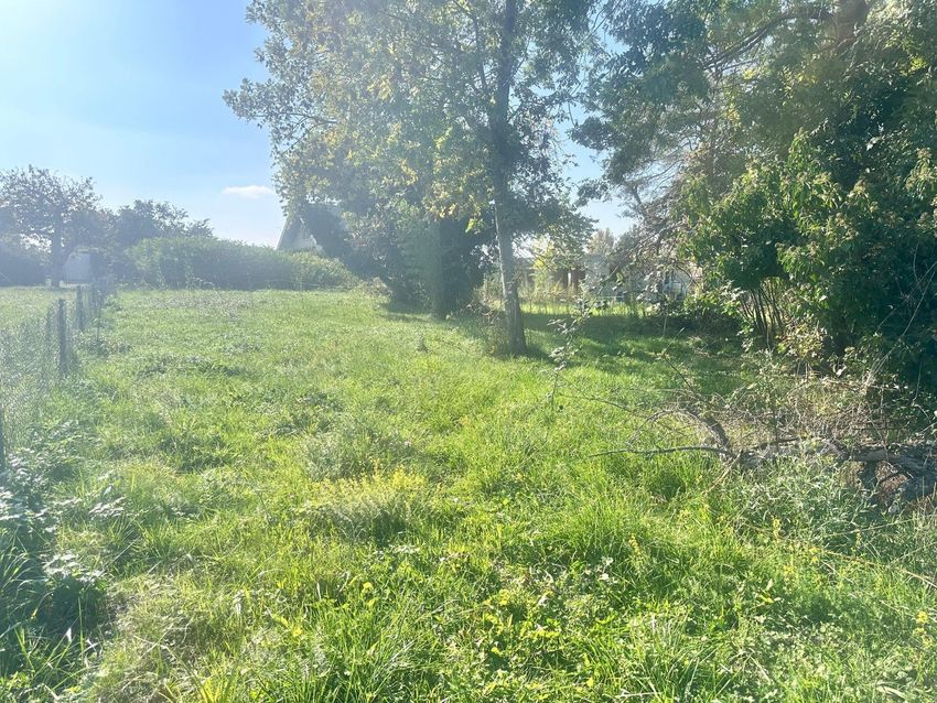 Image de terrain à Yvoire