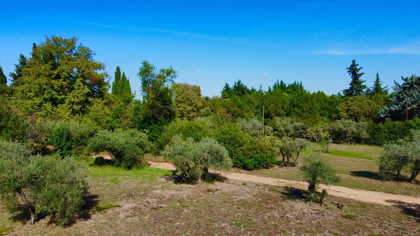 Image de terrain à Arles