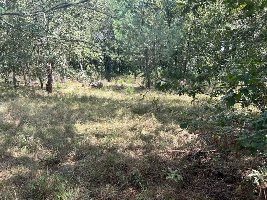 Image de terrain à Mézos