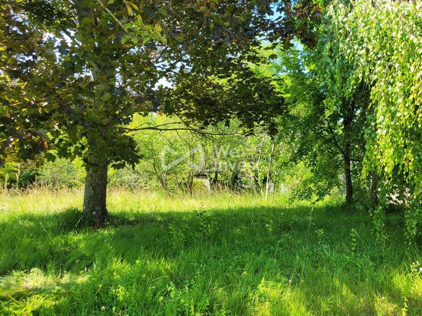Image de terrain à Chessy