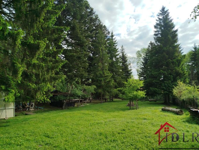 Image de terrain à Champsevraine