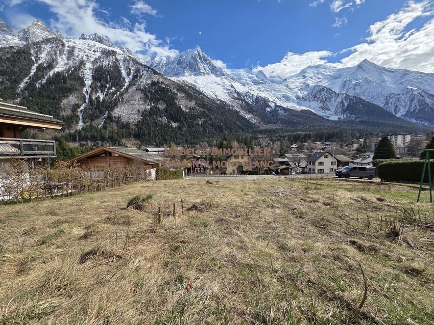 Image Vue à terrain de Chamonix-Mont-Blanc