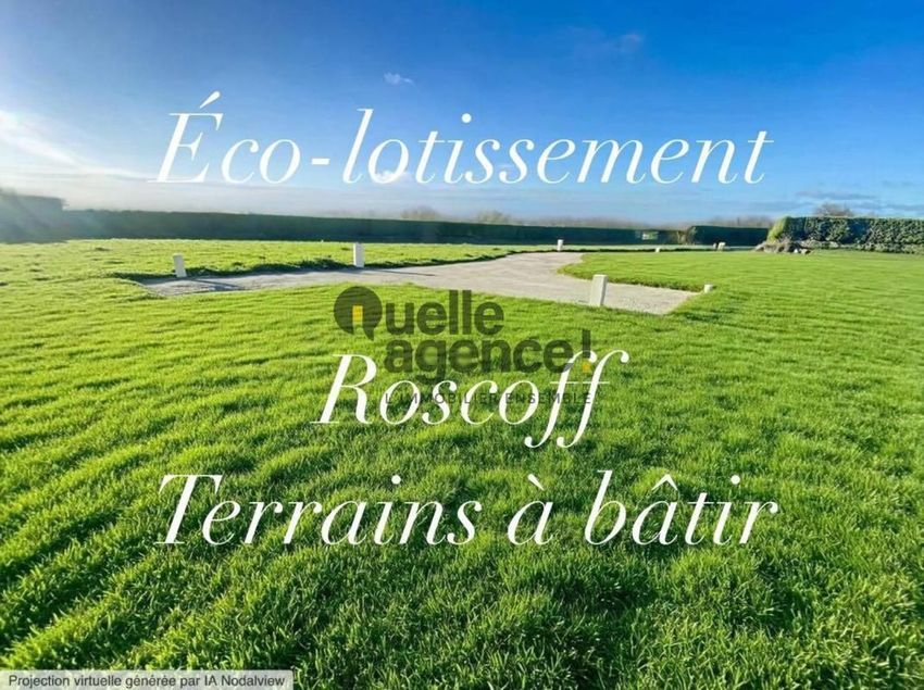 Image de terrain à Roscoff
