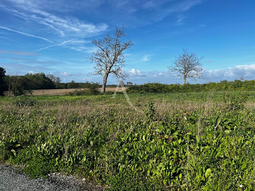 Image de terrain à Breuil-Magné