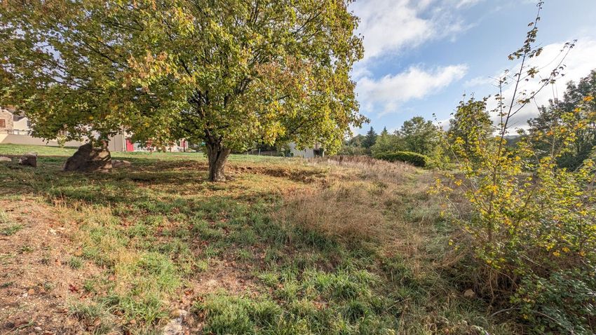 Image de terrain à Villeneuve-sur-Bellot