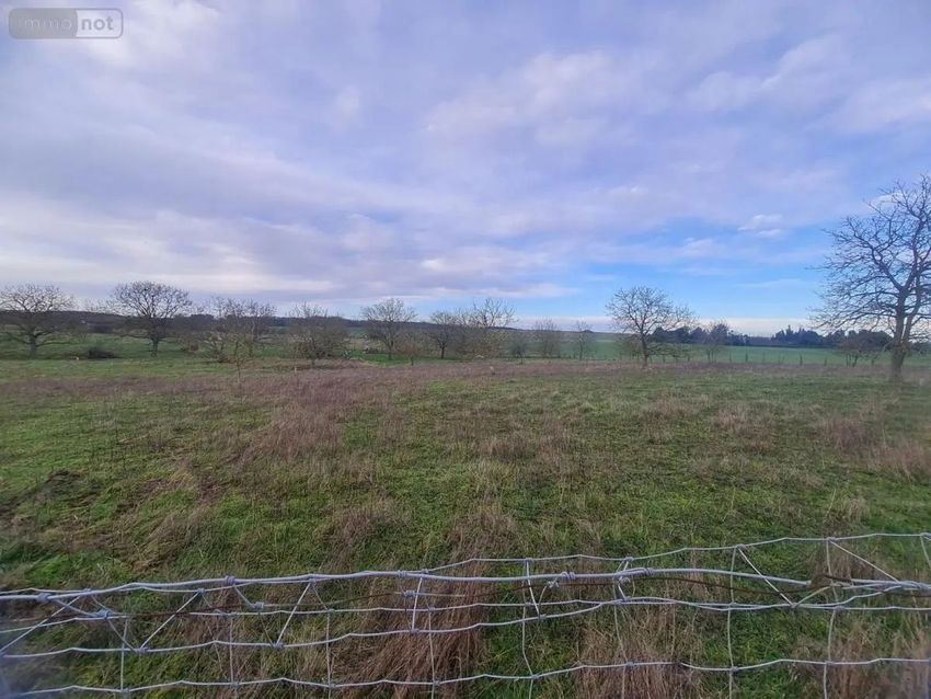 Image de terrain à Montoire-sur-le-Loir