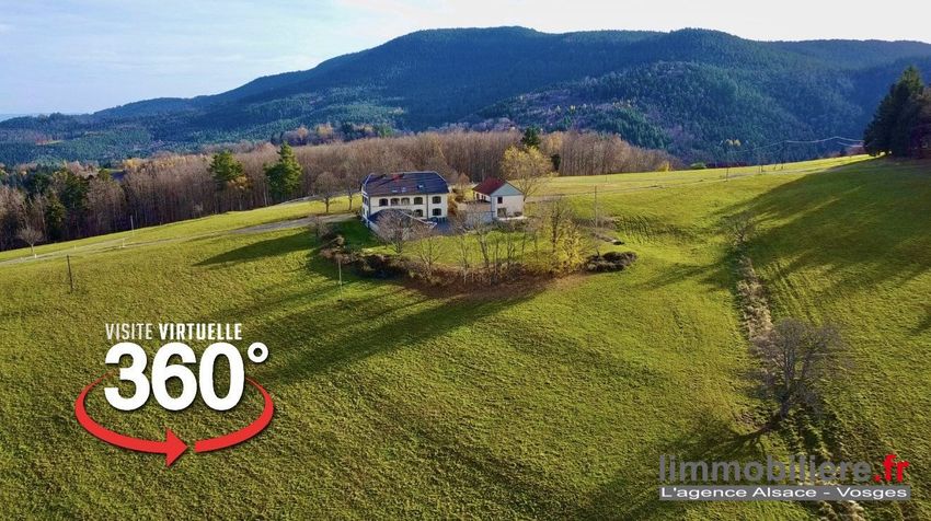Image Jardin à  maison individuelle de Sainte-Marie-aux-Mines