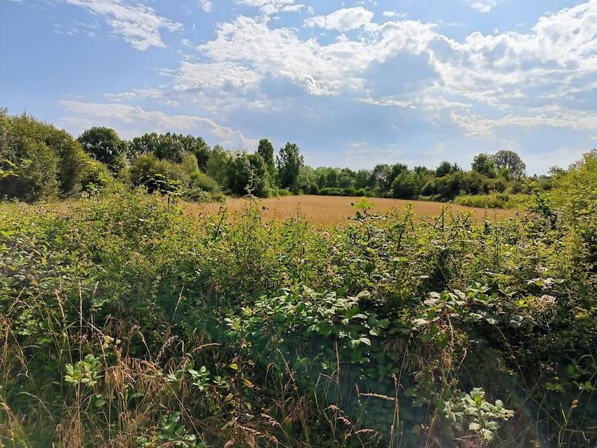 Image Vue à terrain de Pruniers-en-Sologne