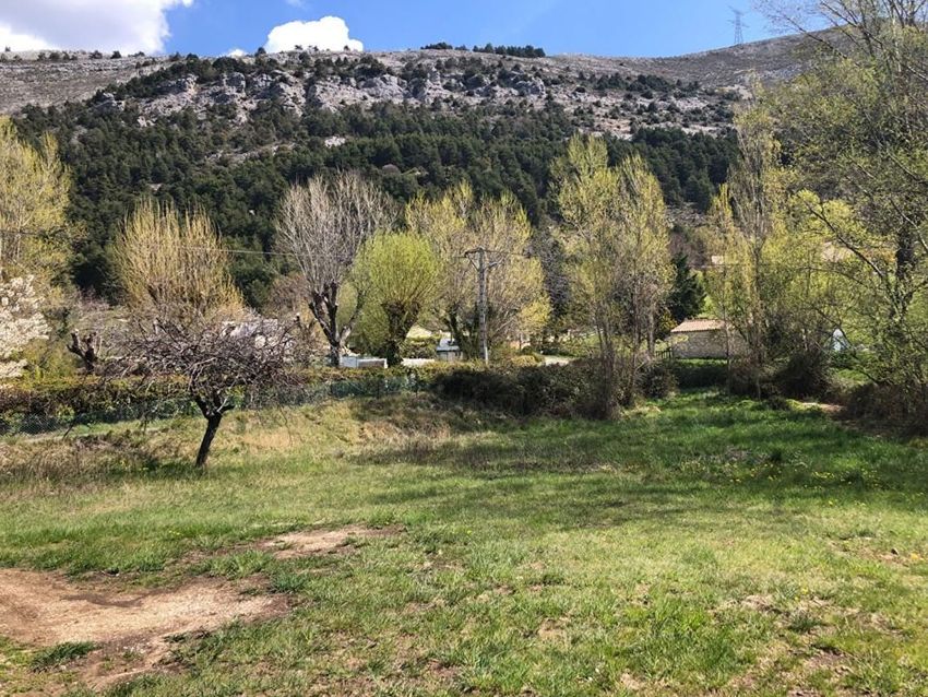 Image de terrain à Escragnolles