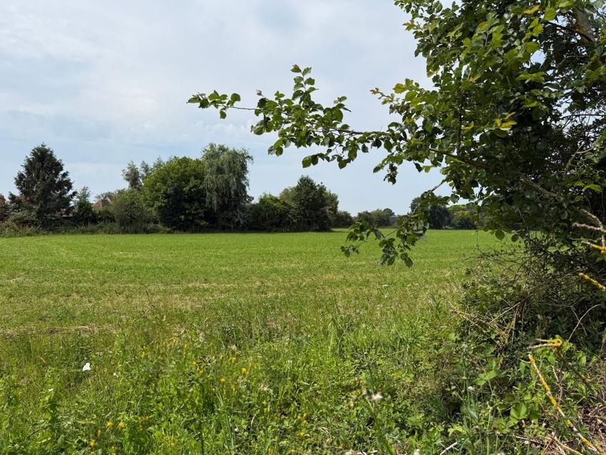 Image de terrain à Saint-Jouin
