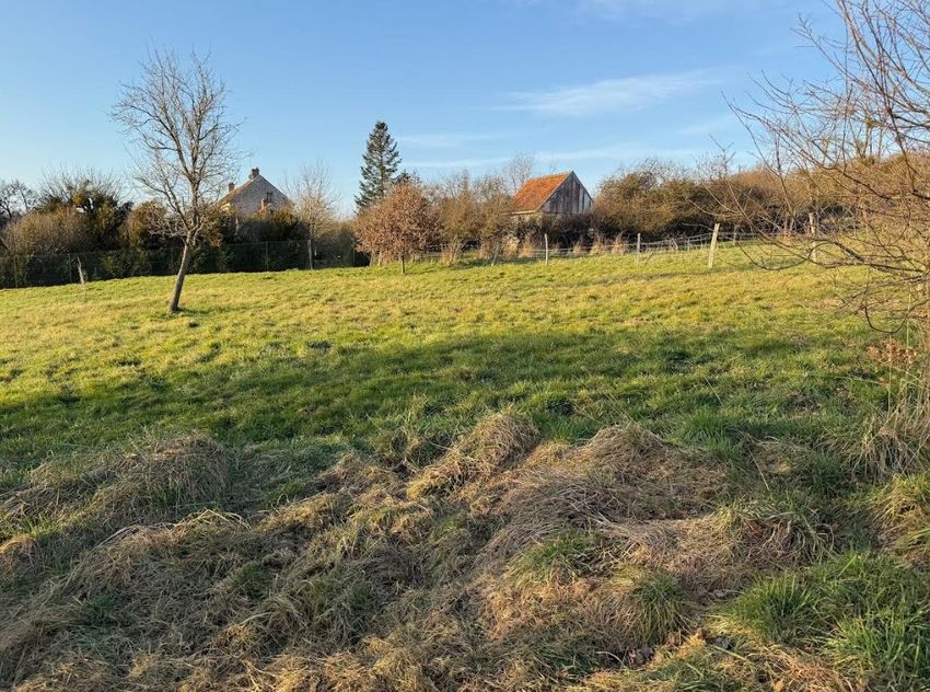 Image de terrain à Sablonnières