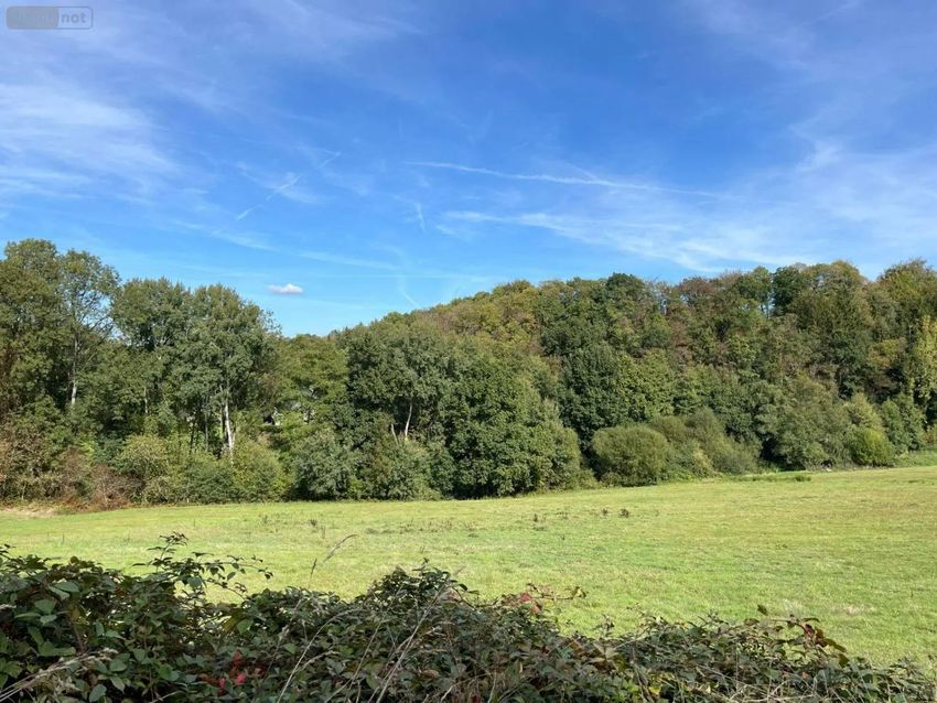 Image de terrain à Saint-James