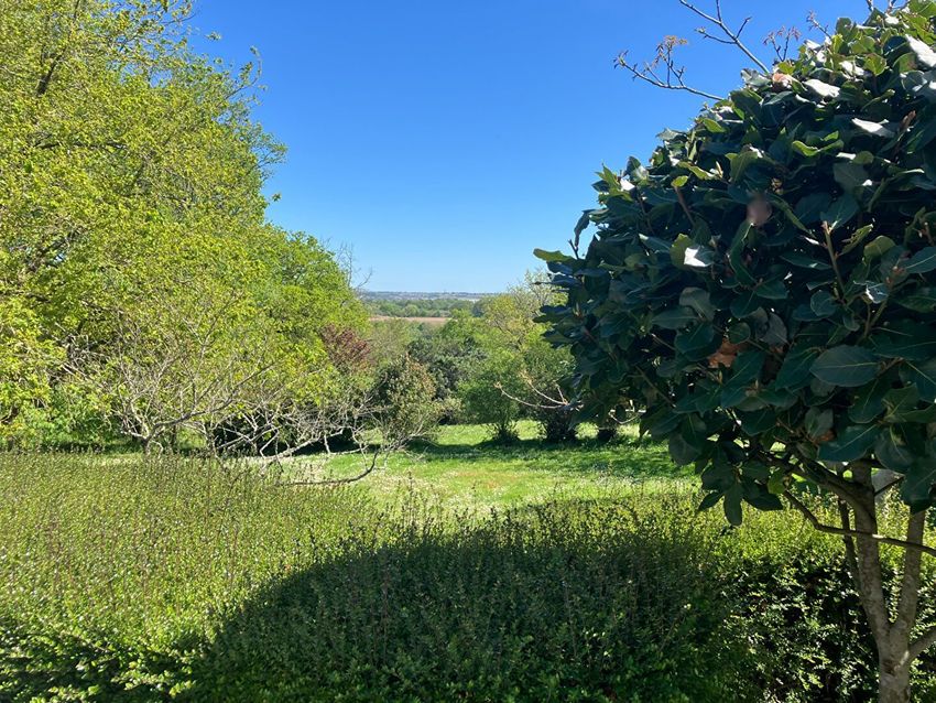 Image Jardin à  maison individuelle de Thouaré-sur-Loire