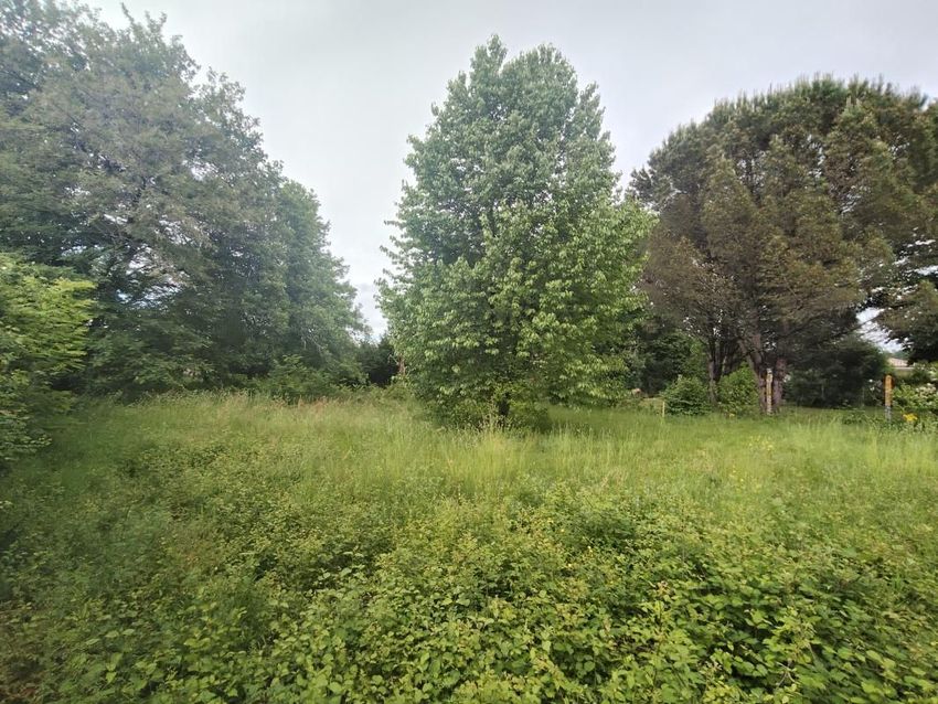 Image de terrain à Lignan-de-Bordeaux