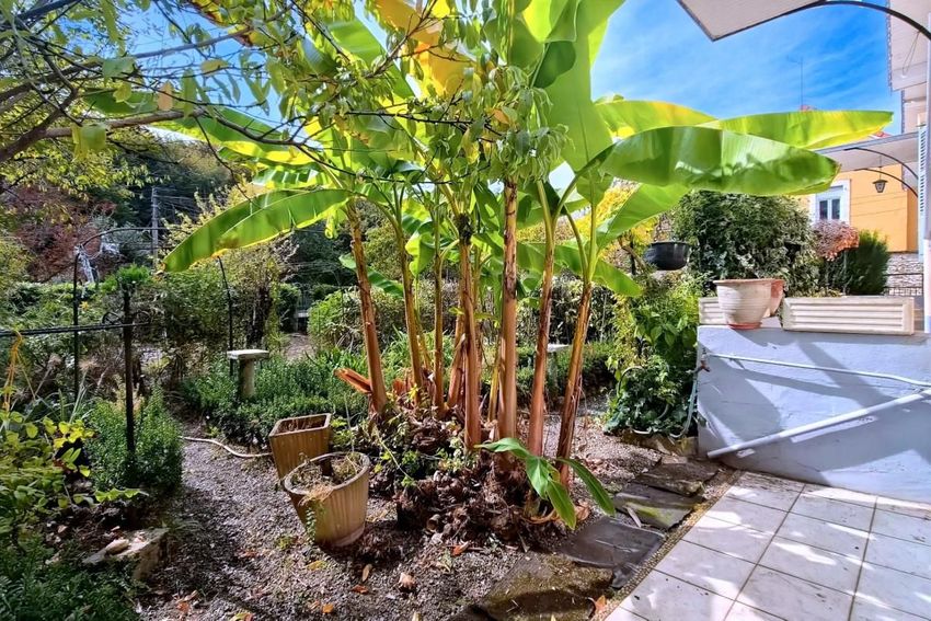 Image Jardin à  maison individuelle de Billère